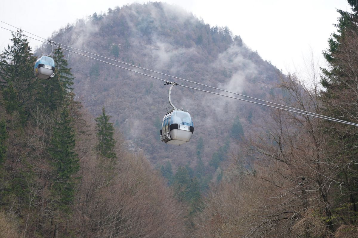 クリスマスローズの原生地（4月６日）