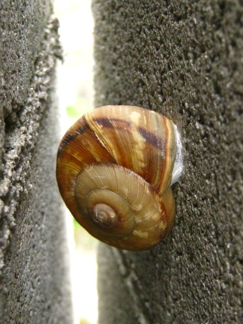 もう少しで梅雨ですね