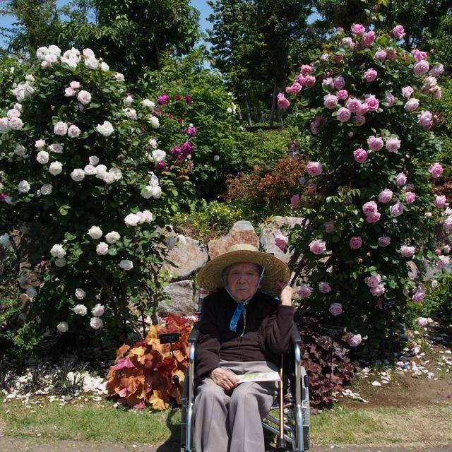 花散歩の一日Ⅰ