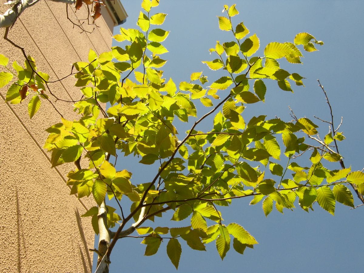 こんないい天気なのに･･･