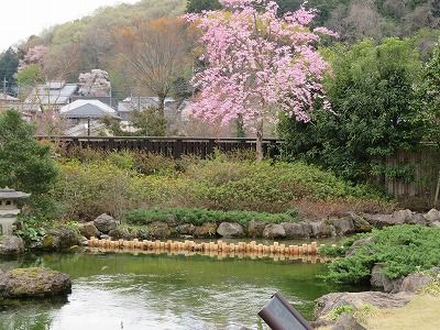 高尾駒木野庭園（東京都八王子市）