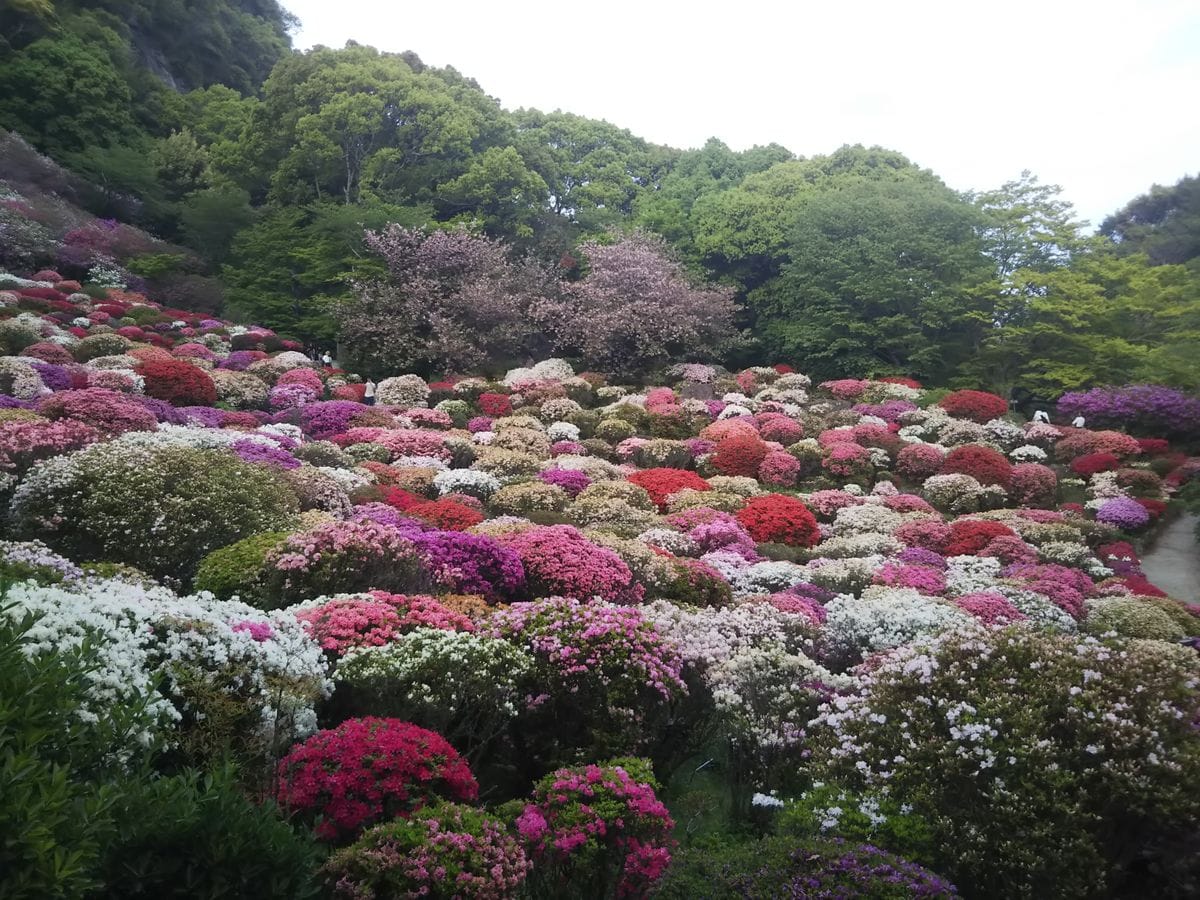 旅先にて！