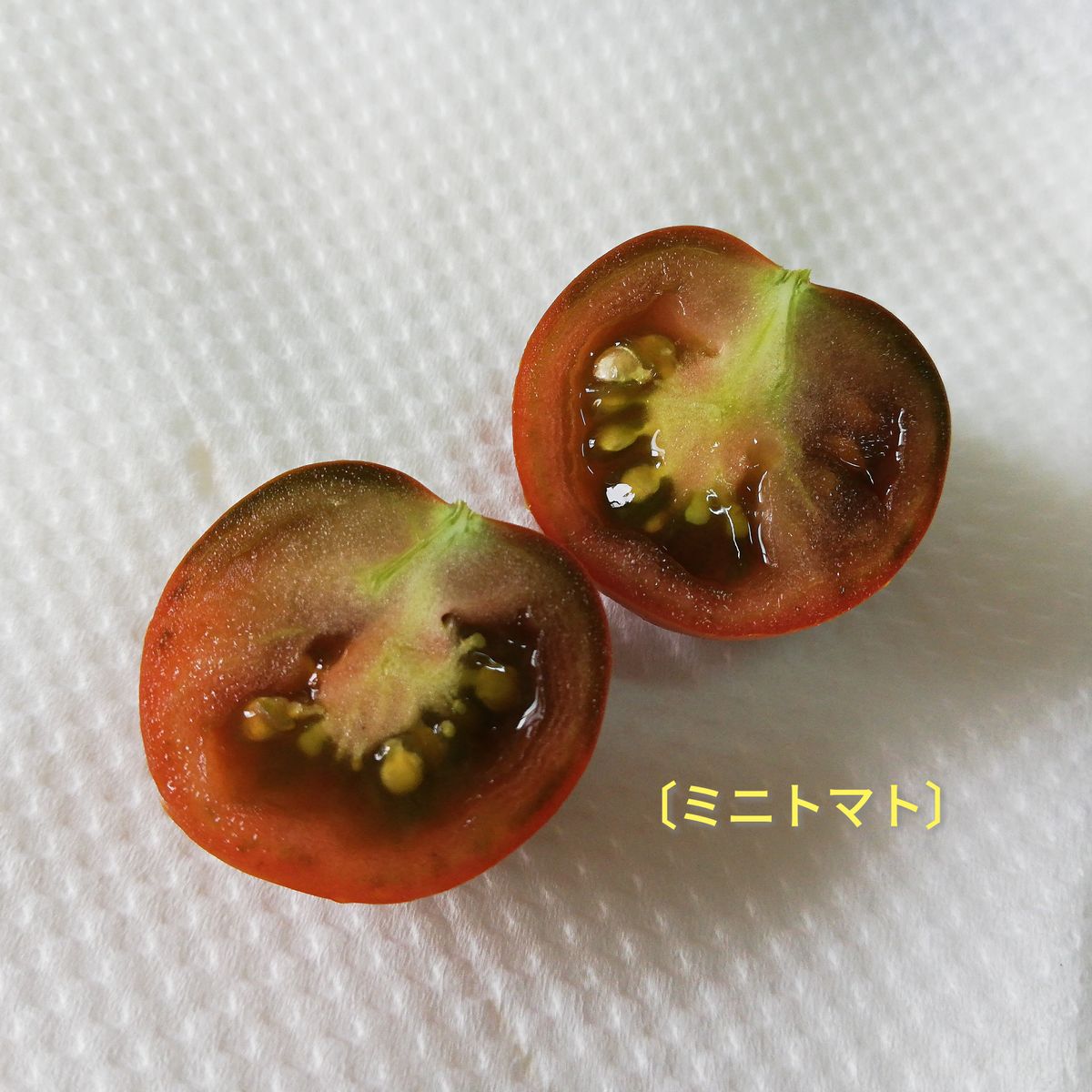 ミニトマト(ショコラ色)🍅の初収穫