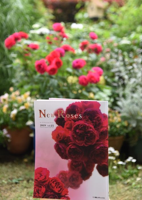 NewRoses2019vol.25が発売になりました。