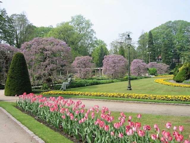 ベルギーの植物園５月・その１