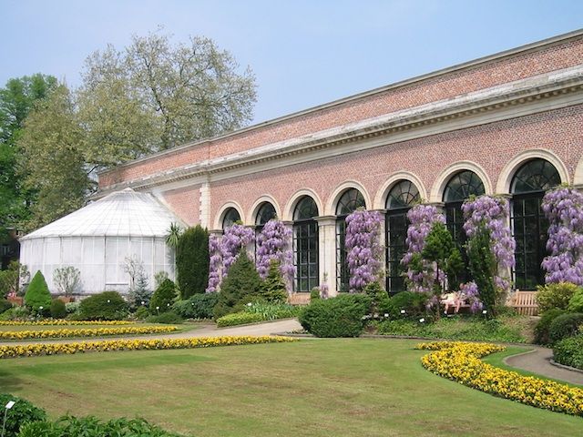 ベルギーの植物園５月・その２