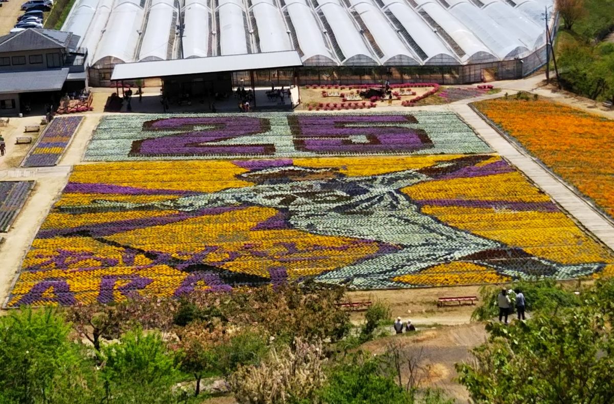 世羅ゆり園 ビオラの花絵とゆり祭