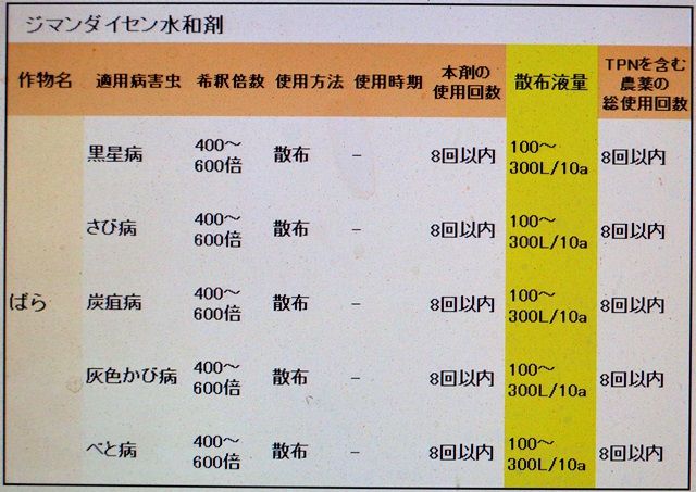 バラの薬剤散布を行いました