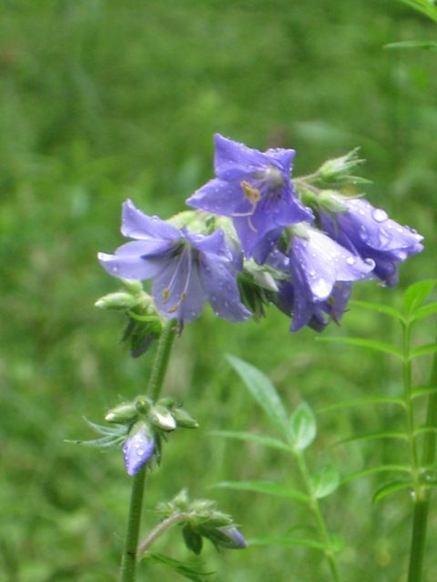 阿蘇野草園にも行きました（*^_^*）