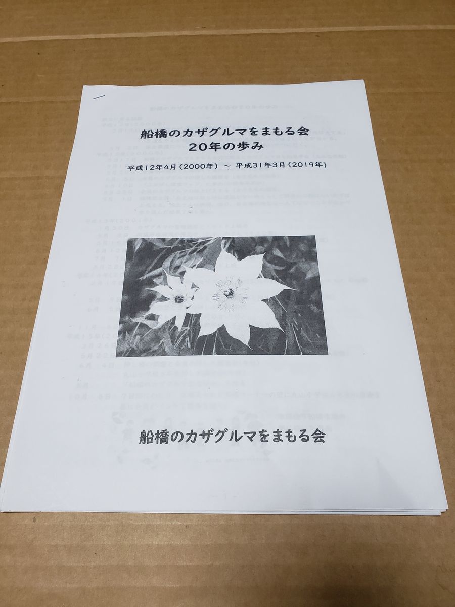 船橋のカザグルマをまもる会　創立20年