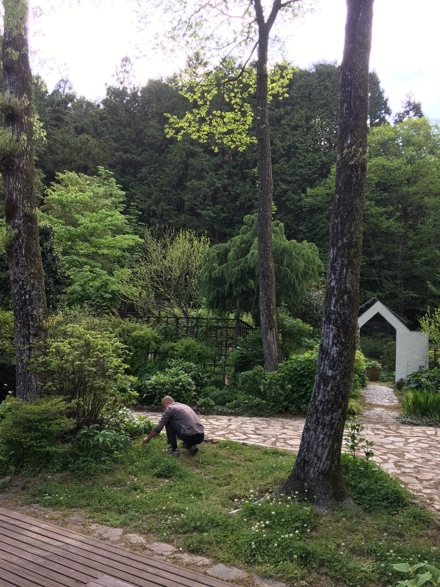 草取りに追われる毎日