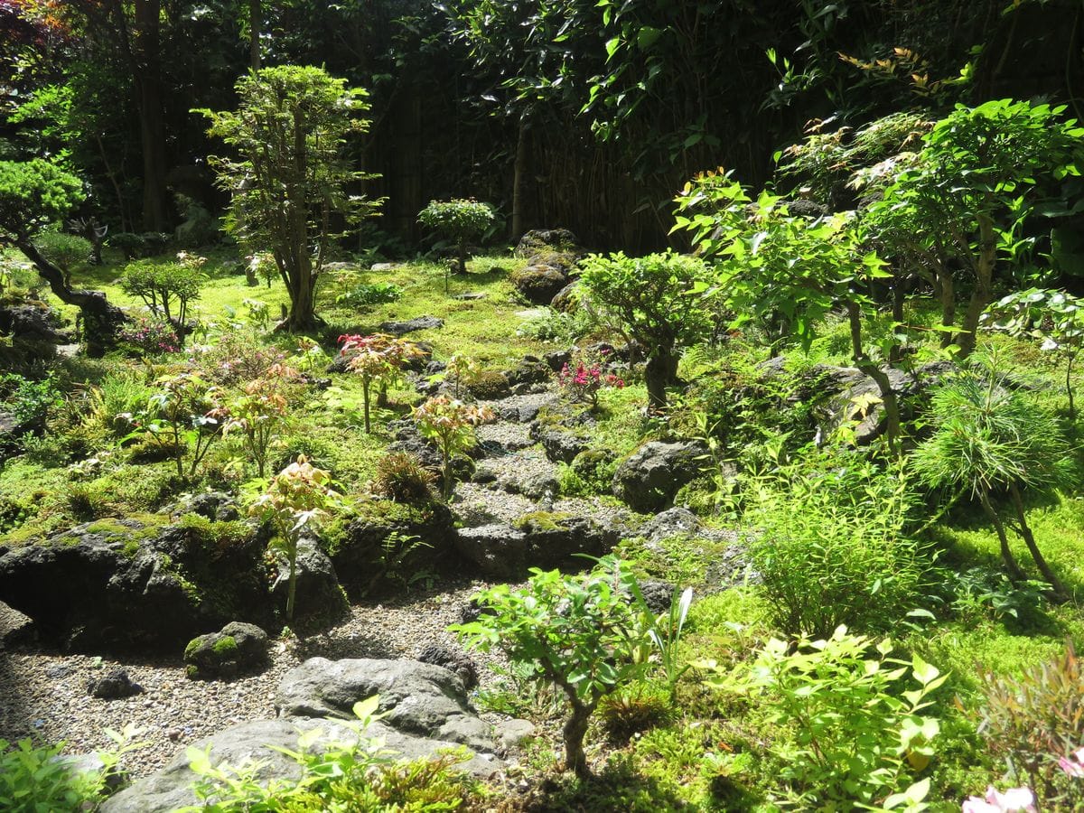 緑あふれる縮景苔庭