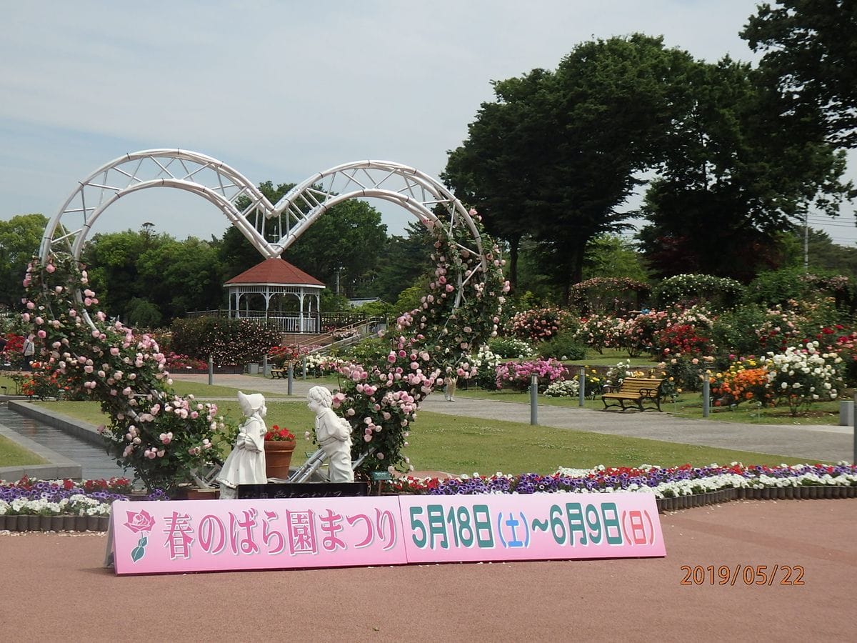 群馬の敷島公園バラ園に行ってきました①