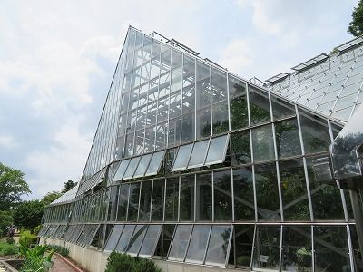 東京都薬用植物園(東京都小平市)