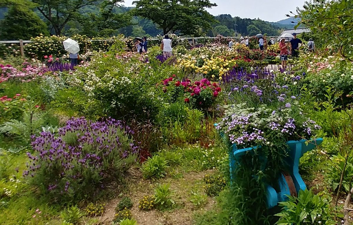 オフ会中🎵