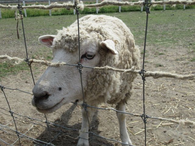 ローザンベリー多和田にてオフ会