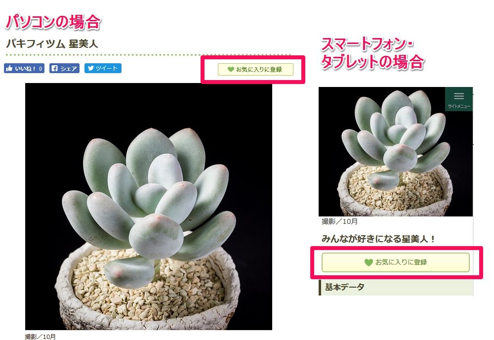 そだレポ、多肉植物図鑑をお気に入りに登録できるようになりました！