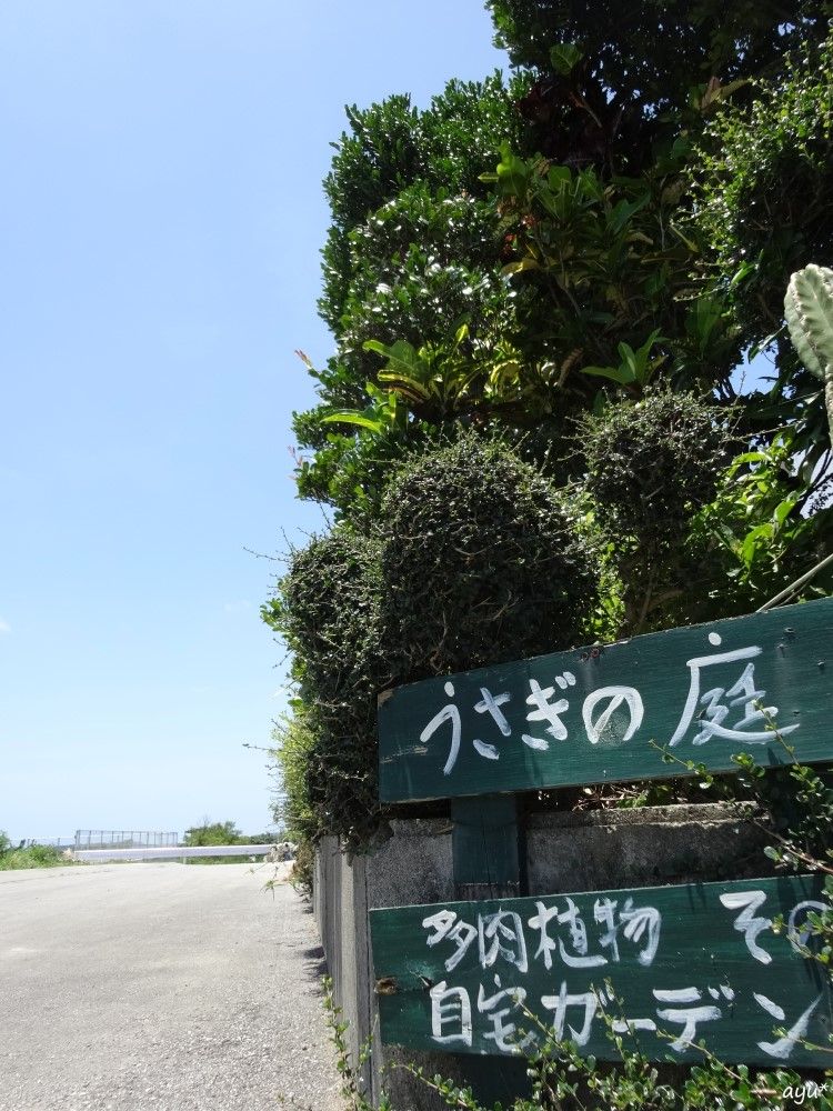 別イベントもお手伝い…♪