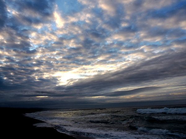 ペットボトルが浜から消えた。ウォーキングMS⑦ 116日目(2306日目)