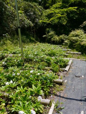 雨ですね