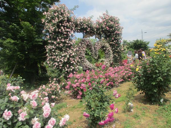 梨園のバラ園