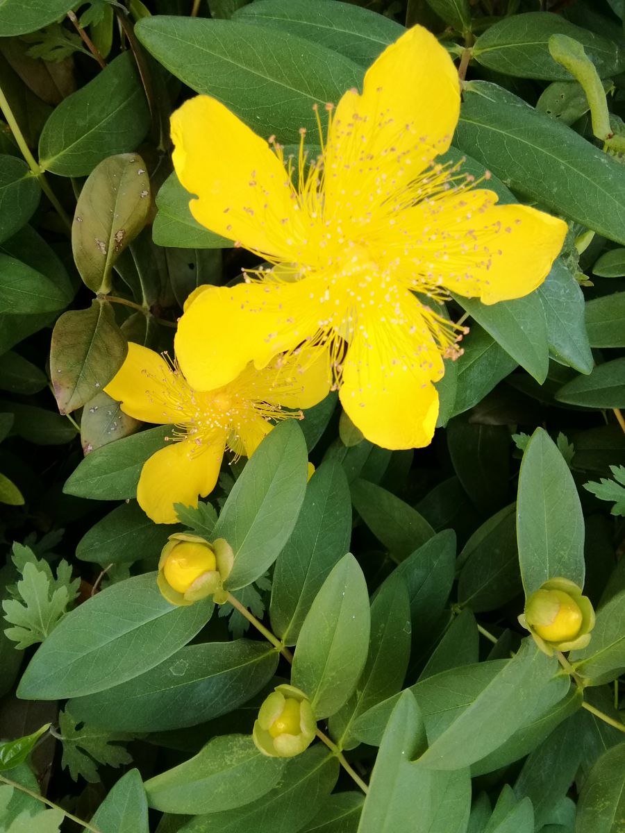 朝から雨☔