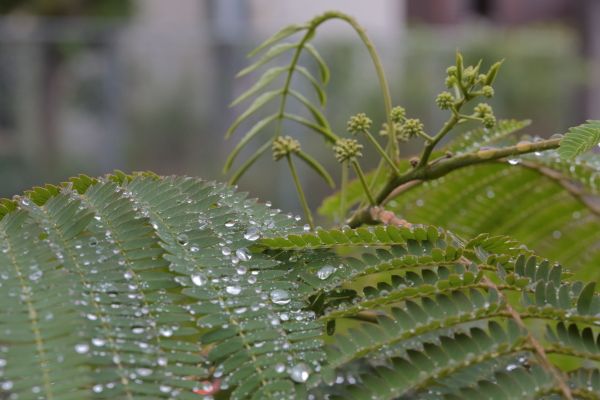 梅雨の合間に