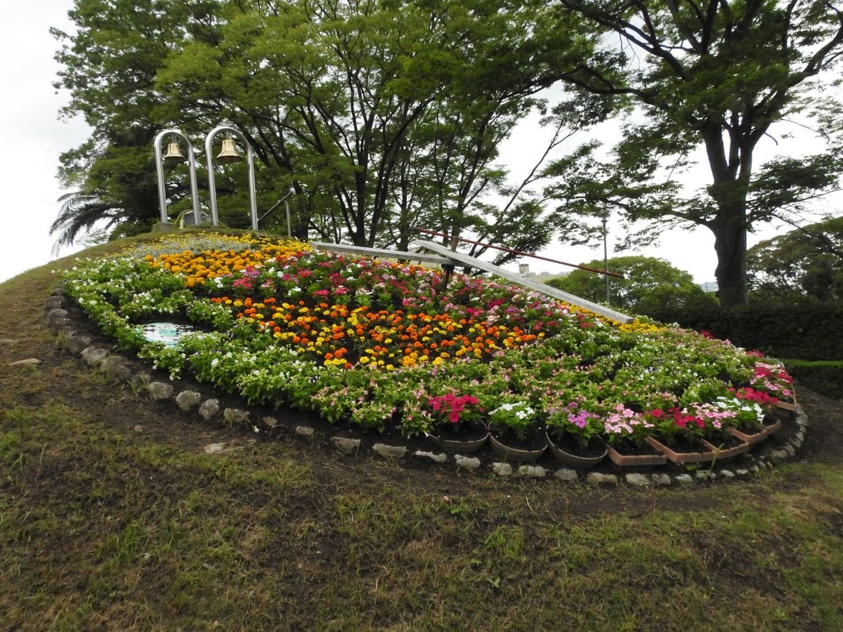 県庁時計台花壇の植え替え