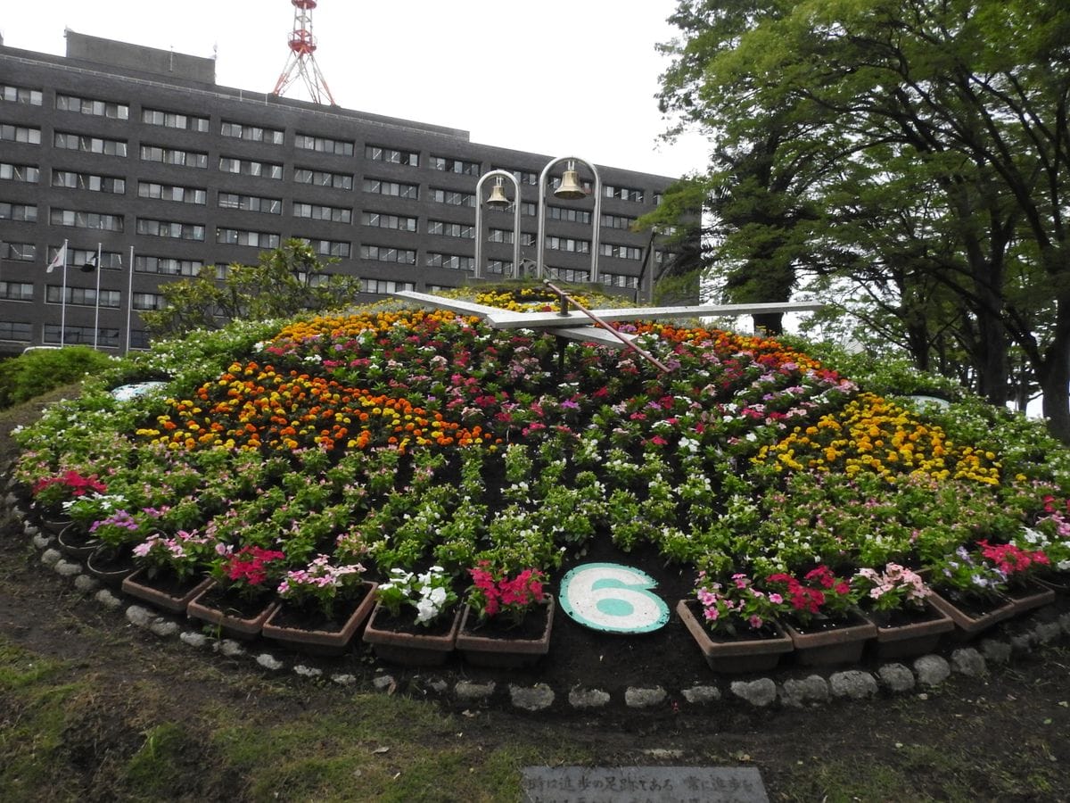 県庁時計台花壇の植え替え