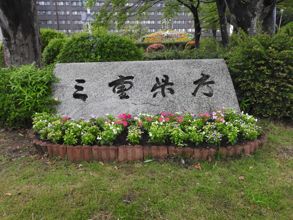 県庁時計台花壇の植え替え