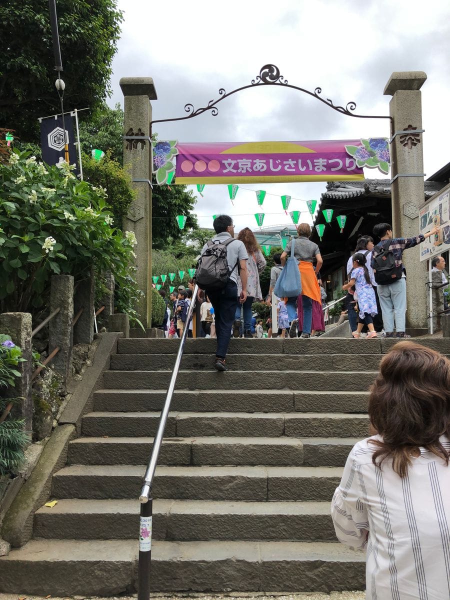 アジサイ祭　白山神社