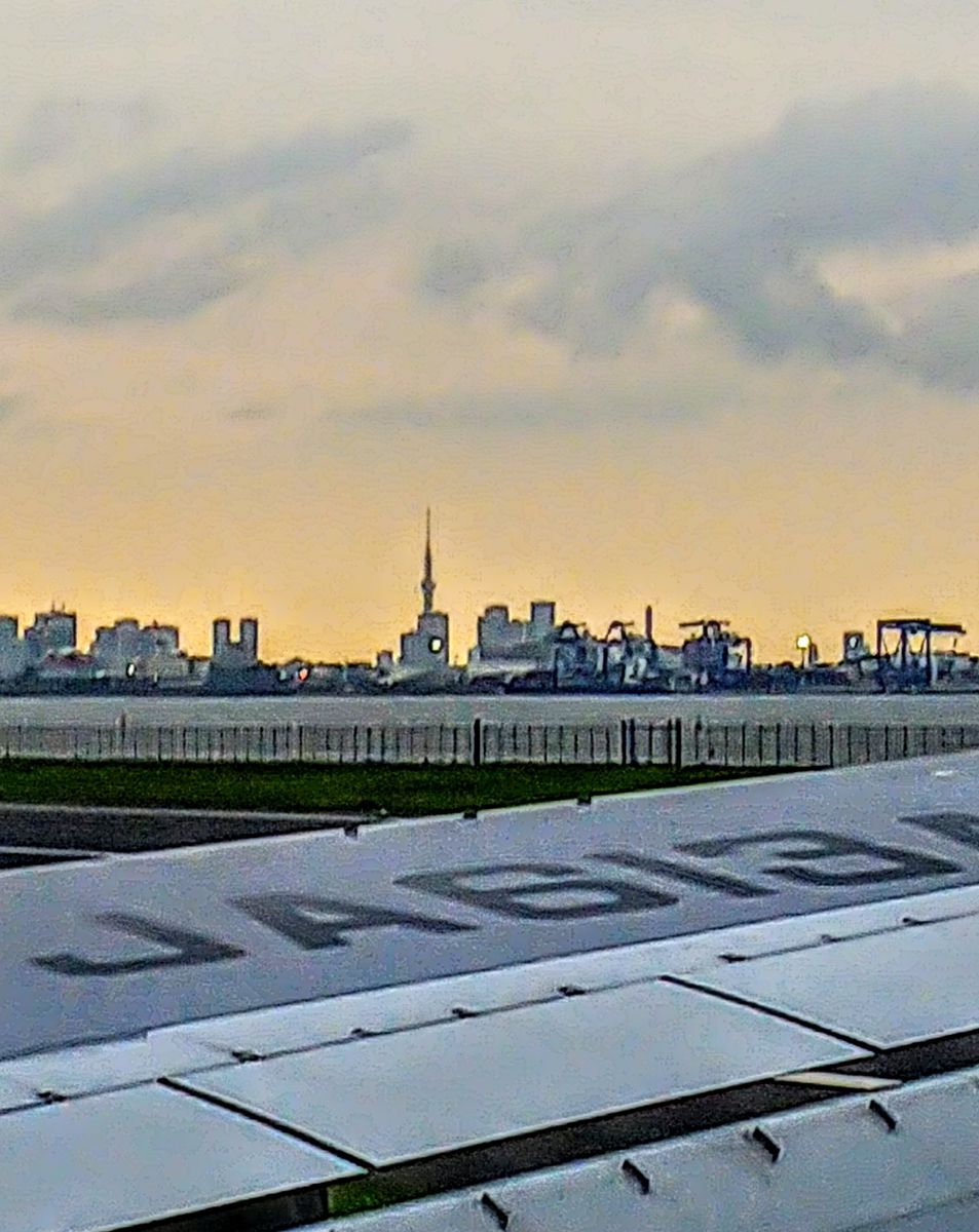 上空からの景色