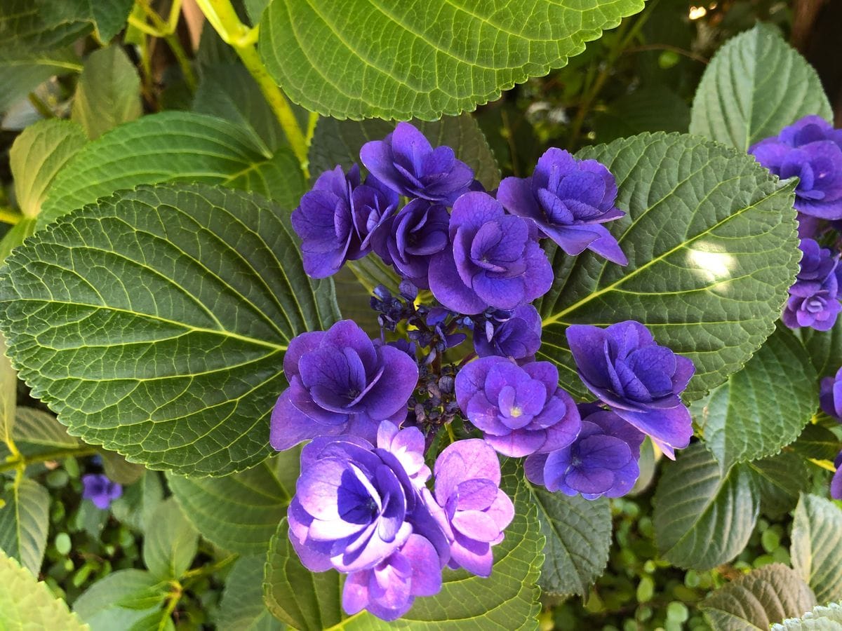 今日のお気に入り💗