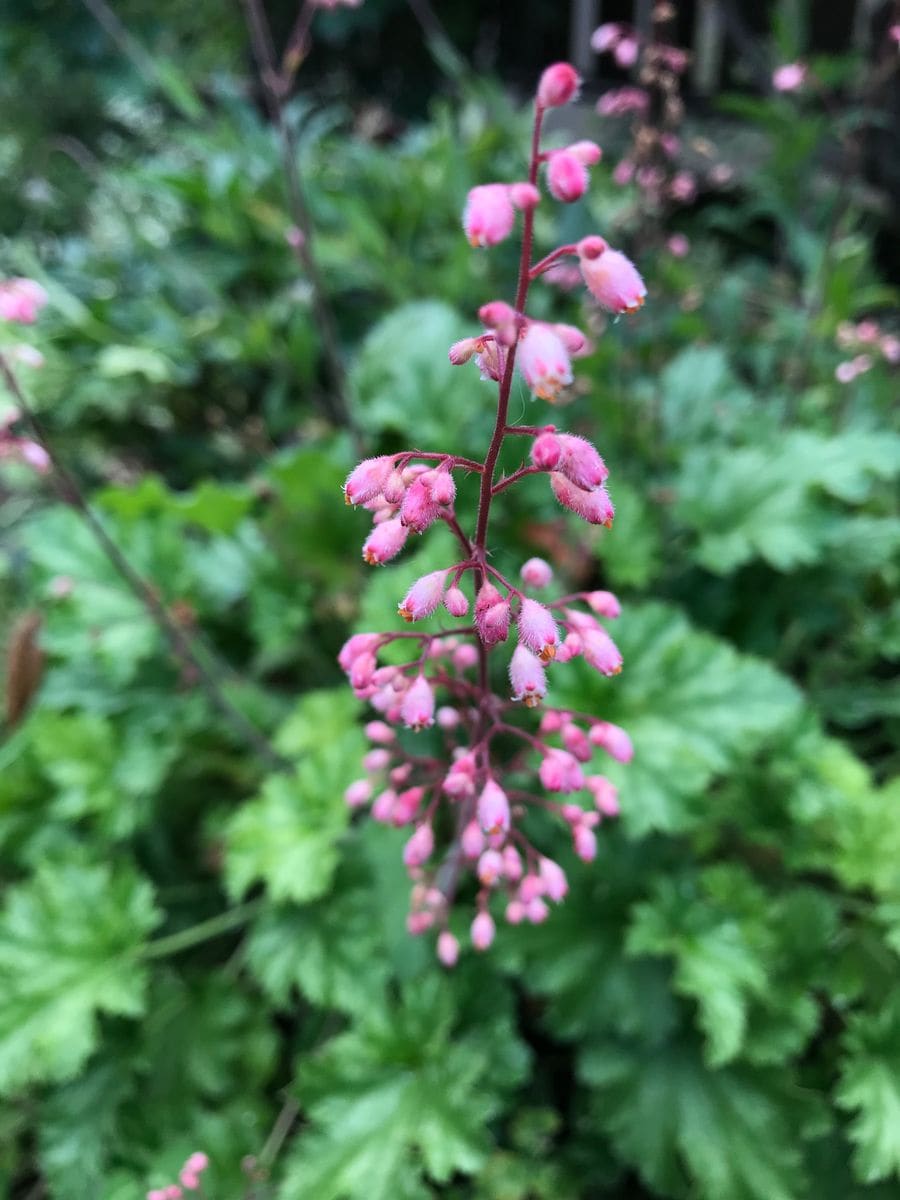 晴れと雨