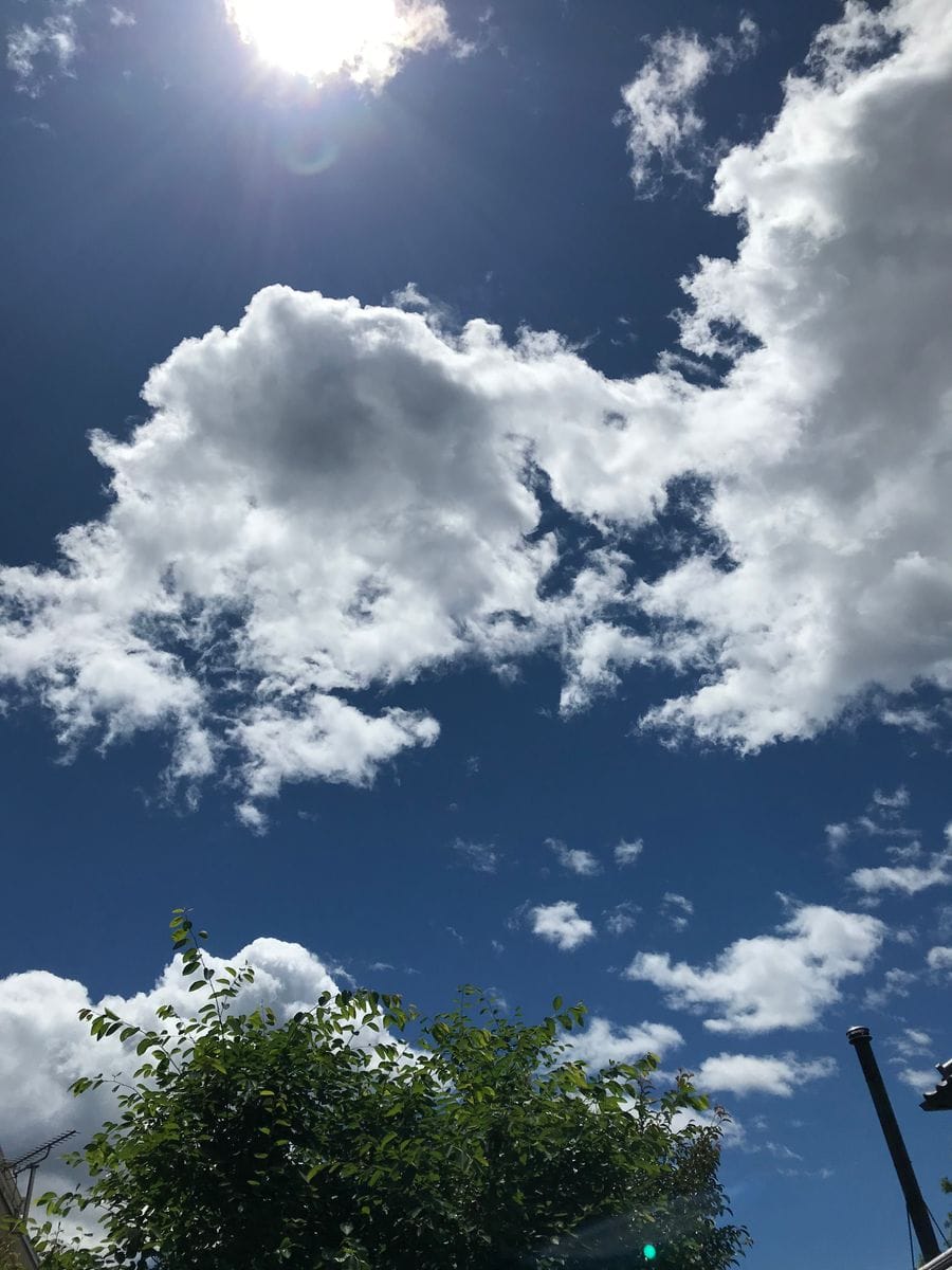 晴れと雨