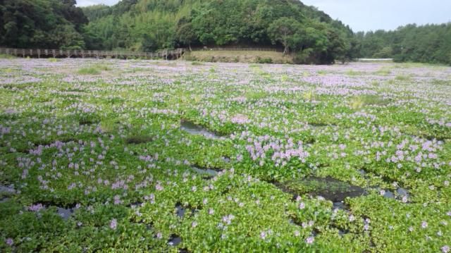 梅雨の晴れ間