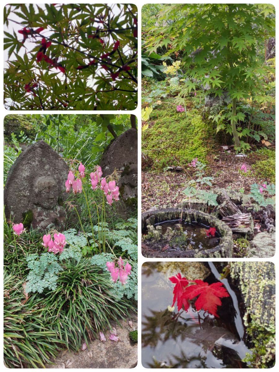 花寺 吉祥寺