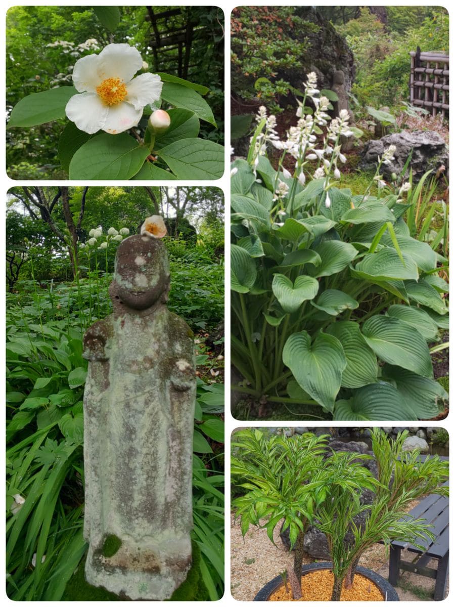 花寺 吉祥寺