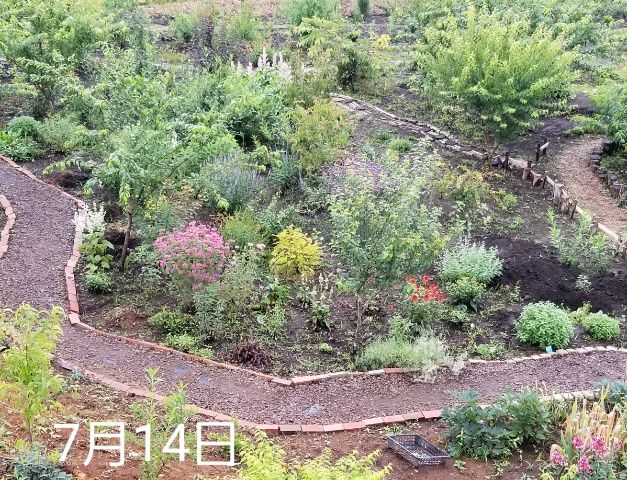 雨の日曜日、何回目?