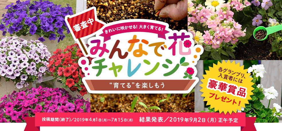 「みんなで花チャレンジ」へのたくさんのご応募ありがとうございました！