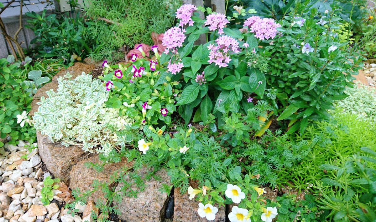 梅雨  大雨降ってます☔  PM5:08