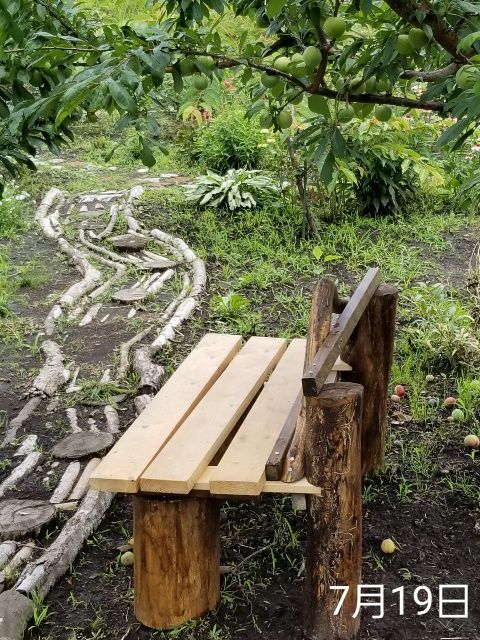 雨の日は徒然なるままに