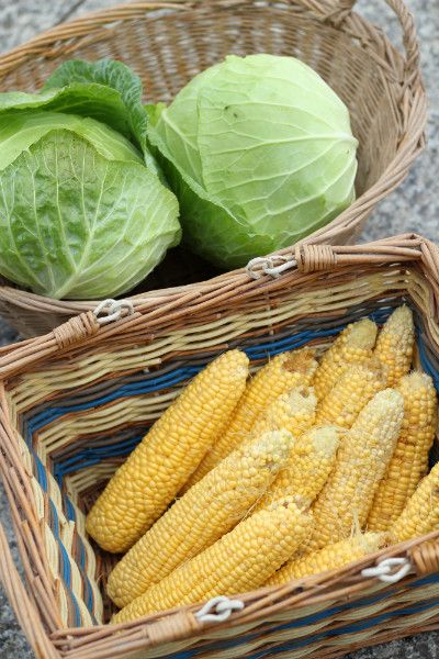 その他の夏野菜