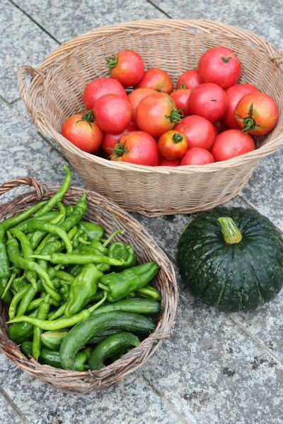 その他の夏野菜