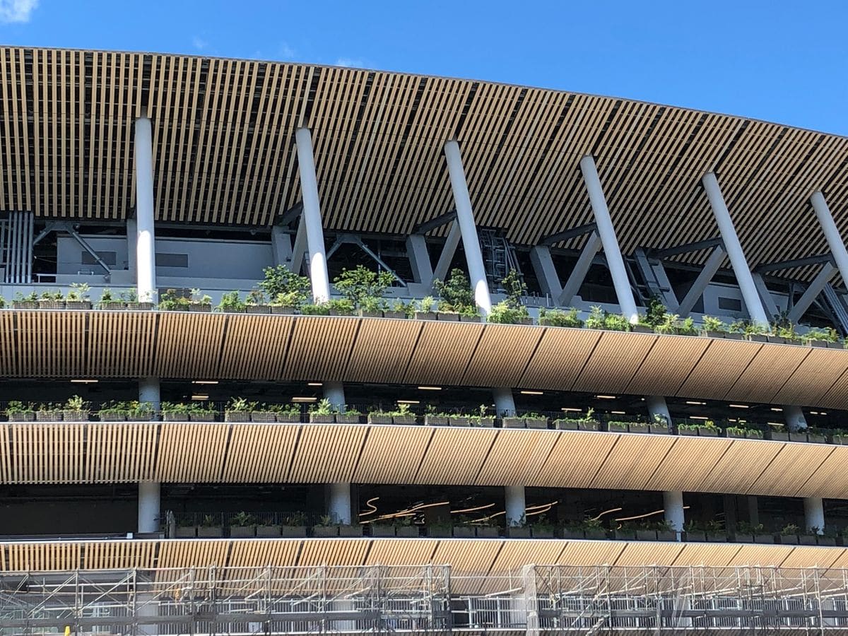 新国立競技場の緑