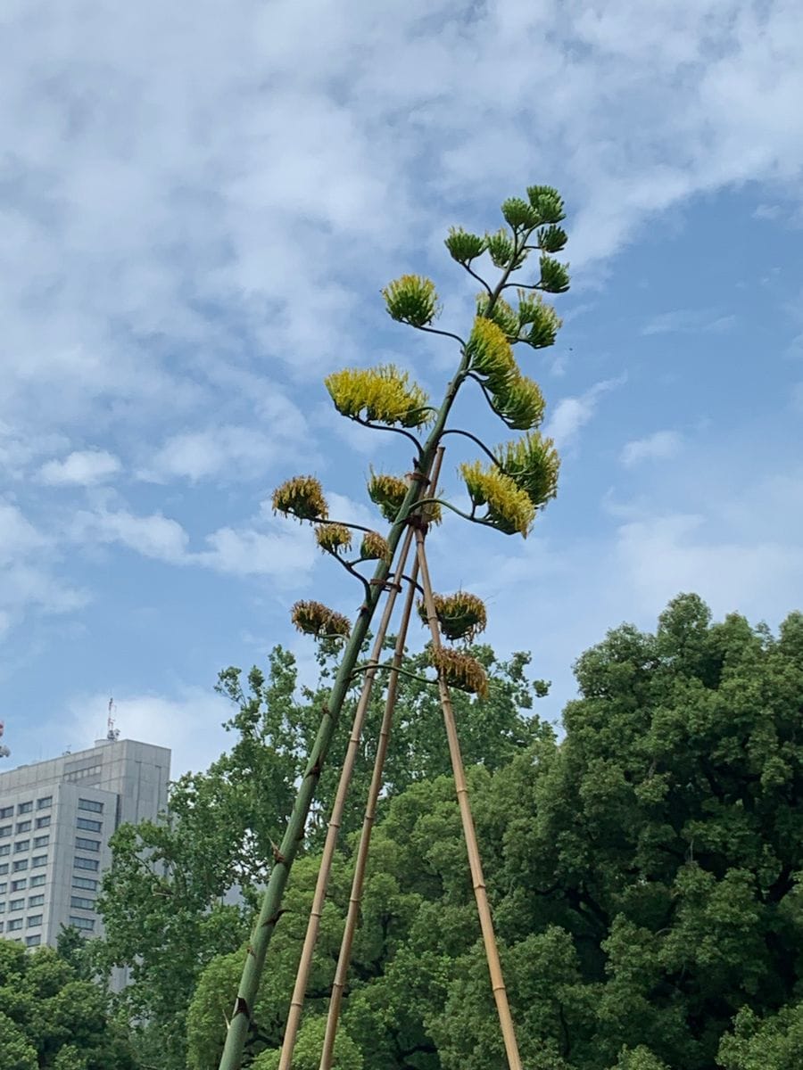 @日比谷公園 その４