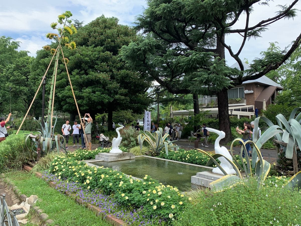 @日比谷公園 その４