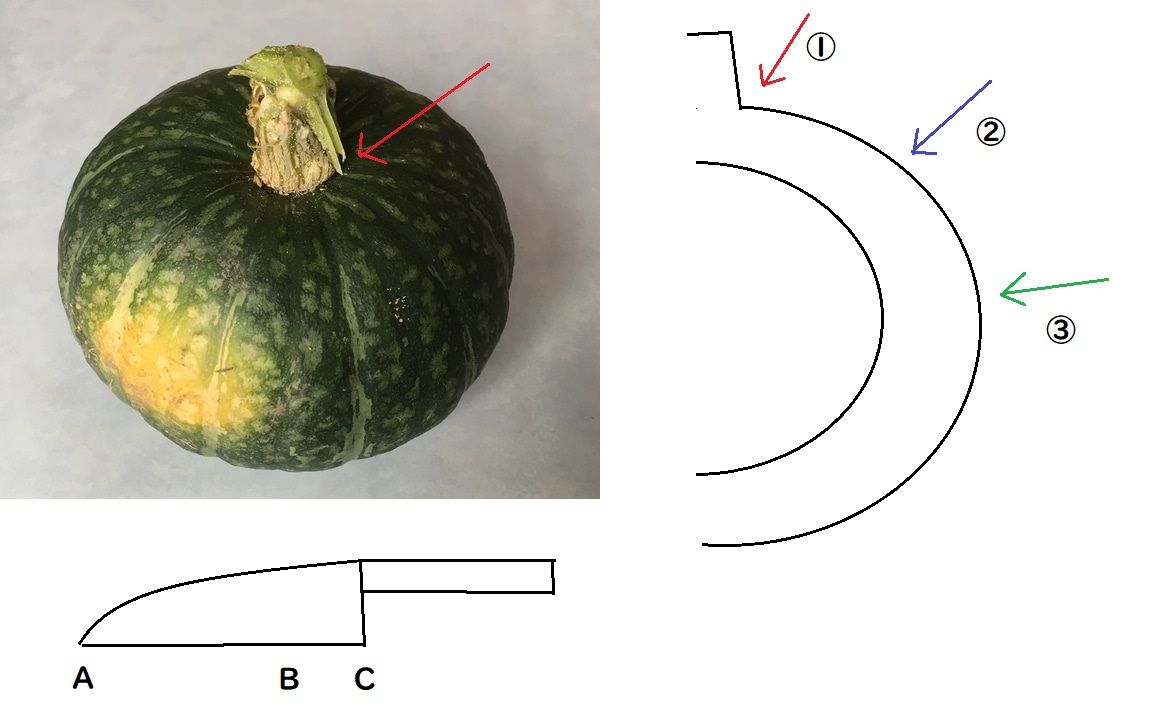 かぼちゃの切り方