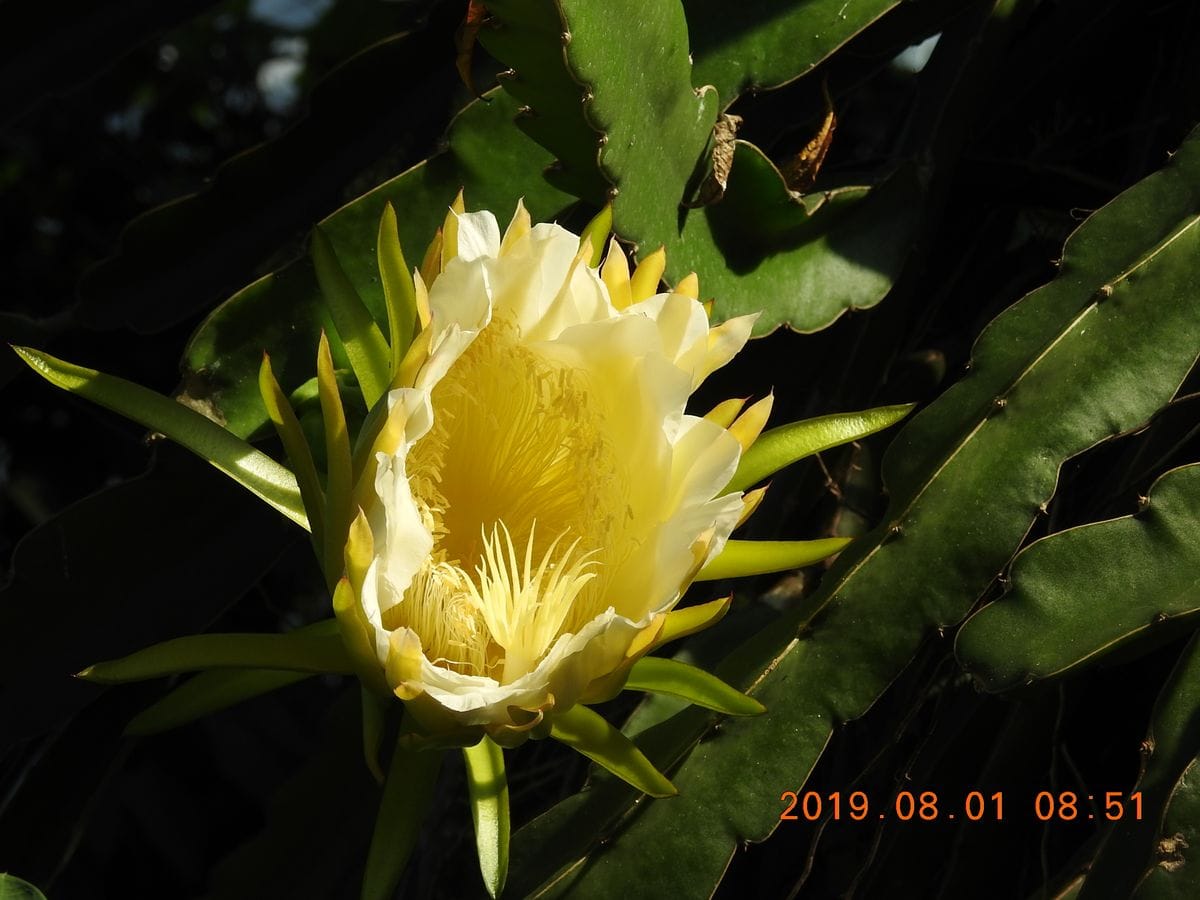 赤塚植物園