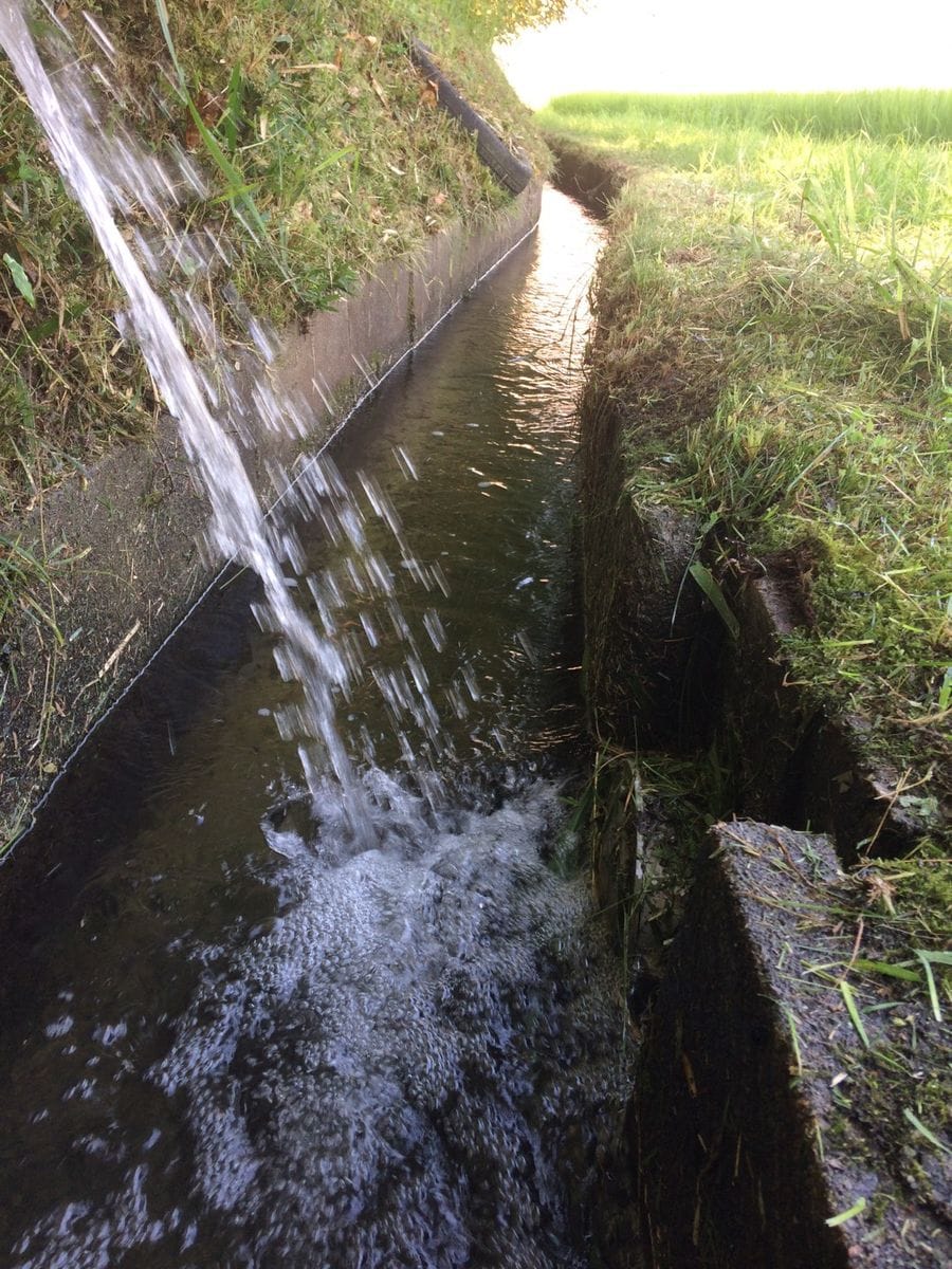 水路の草刈り